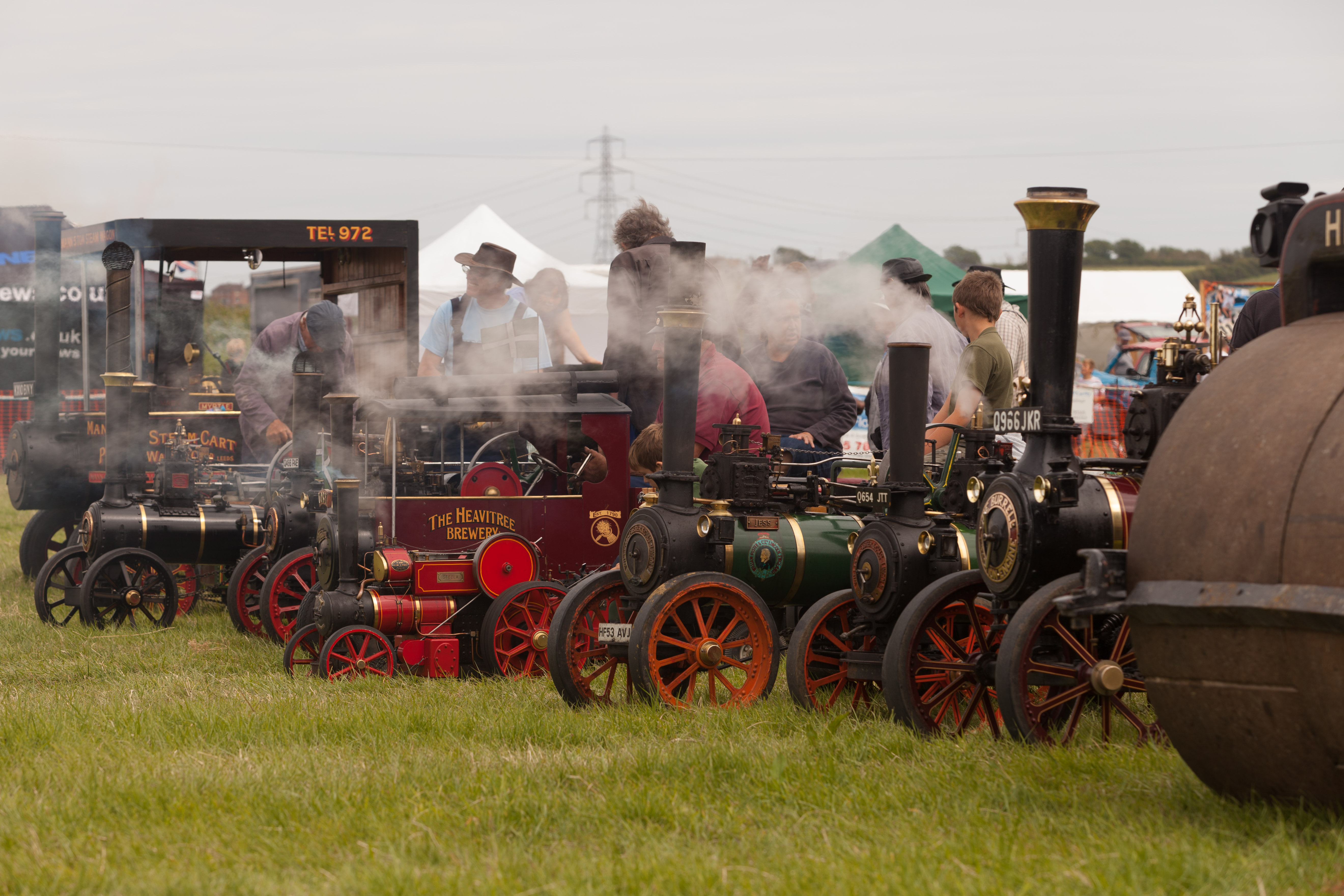 Steam Line up at the Chickerell Steam Rally 2014
